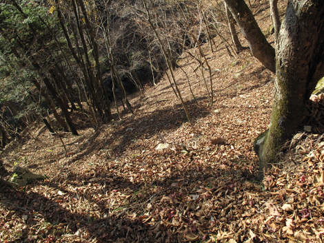 20171207hike (369)